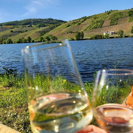 Art Of Living Mosel Apartman Longuich Kültér fotó