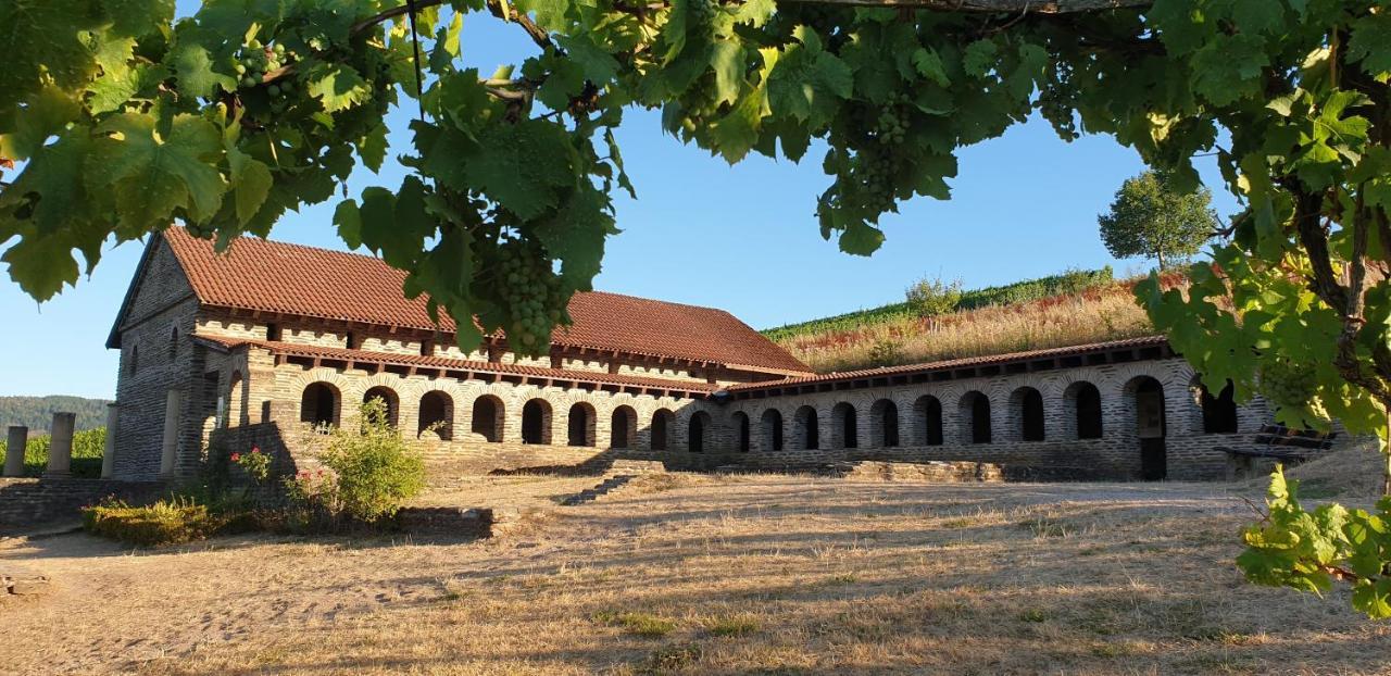 Art Of Living Mosel Apartman Longuich Kültér fotó