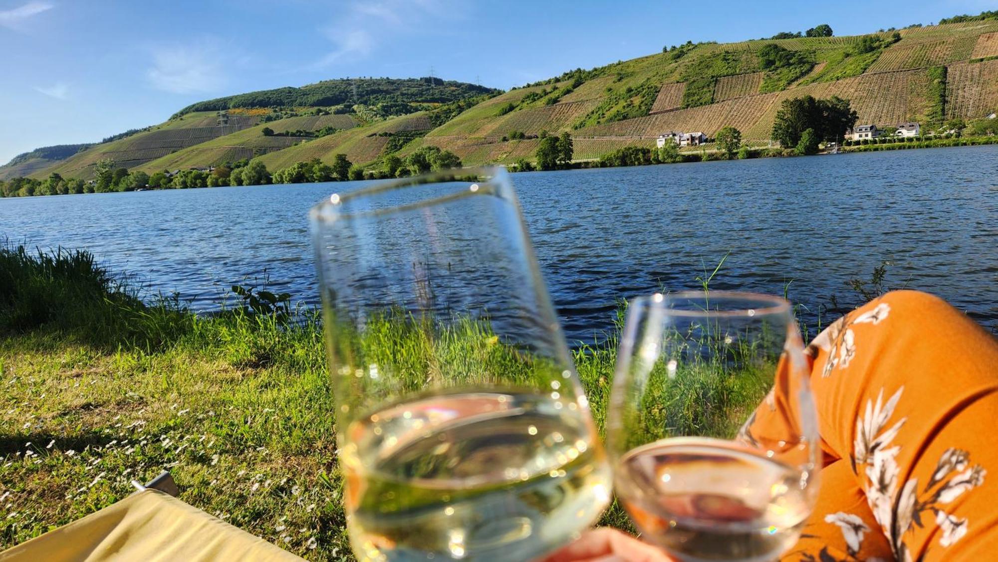 Art Of Living Mosel Apartman Longuich Kültér fotó